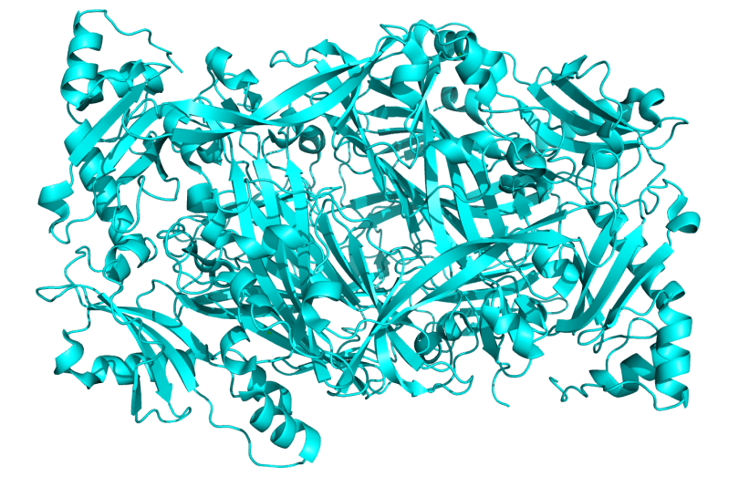Crystal_Structure_of_Human_Diamine_Oxidase