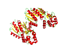 Histamin-N-methyltrasferáza