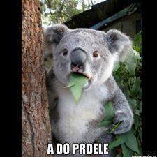 Pardon za ostrá slova, ale tohle jsem nemohla nesdílet:)