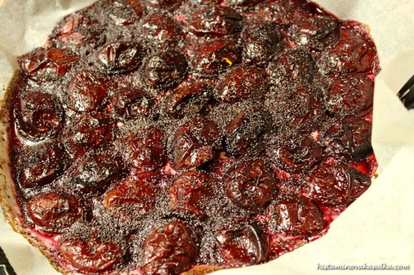 IMG_6738Oct 19, 2013