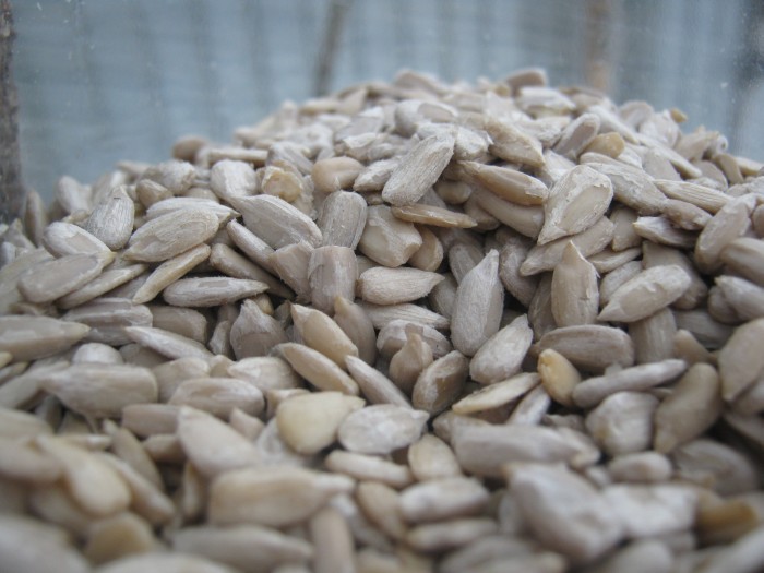 slunecnicove_seminko