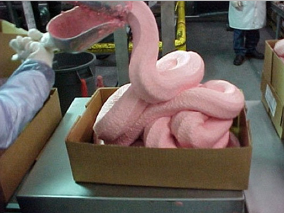 behind-the-chicken-goop-the-truth-and-science-of-chicken-nuggets