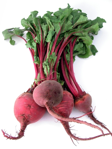 fresh healthy bunch of beetroot