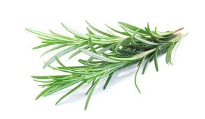 rosemary 2