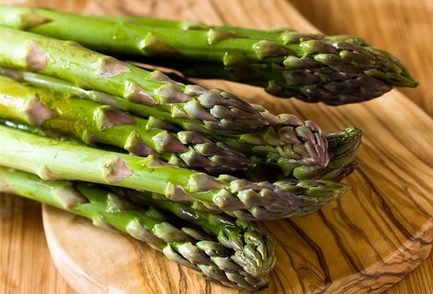 JOB3a9d54_profimedia_0091896143