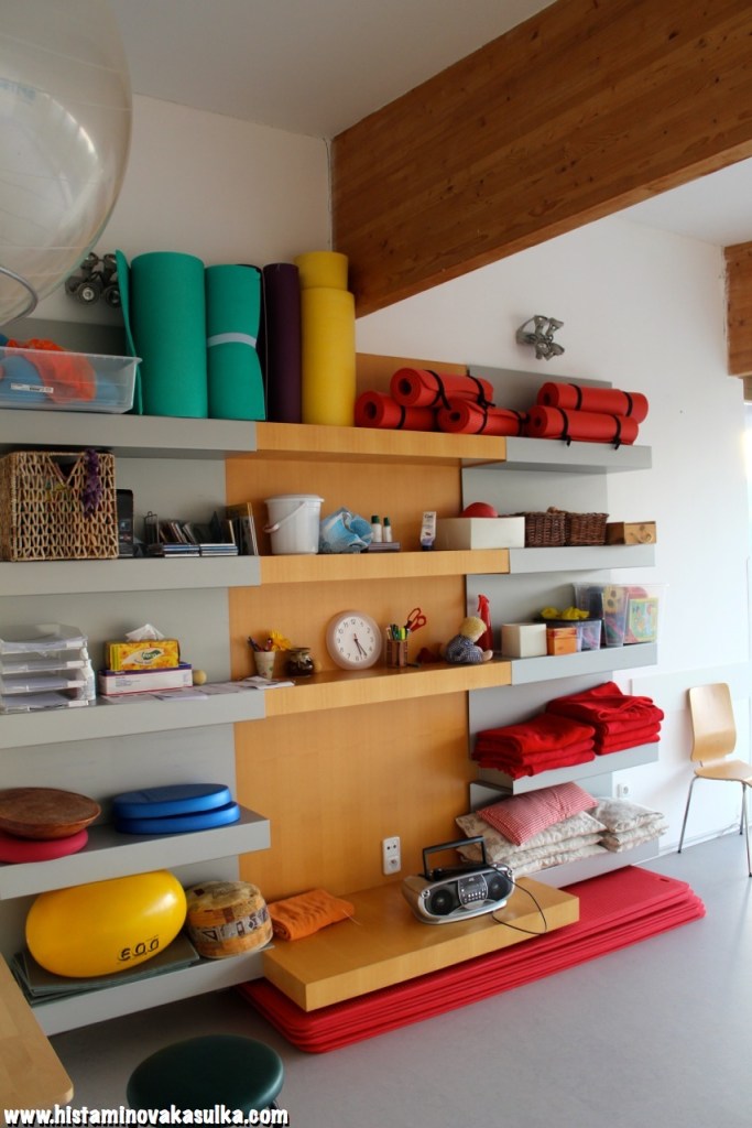 Prosvětlená tělocvična nabízí nejen krásný výhled na přírodu, ale je také plně vybavena, ať už vás trápí cokoliv. 