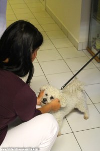 V CKP Dobřichovicích je vítán naprosto každý. 