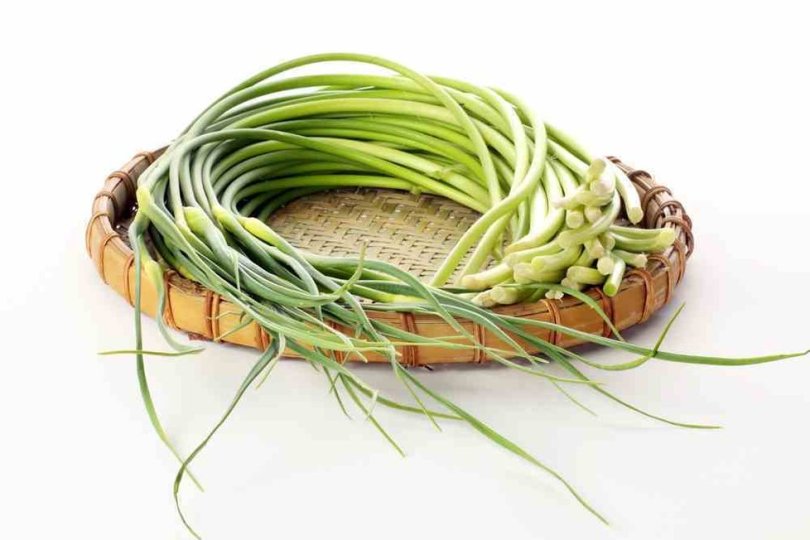 Foto: Shutterstock.com