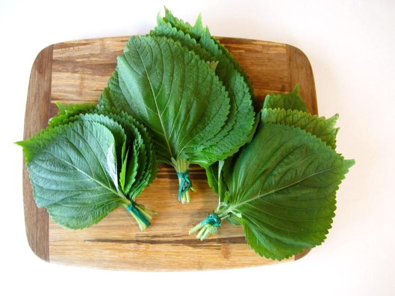 Zdroj: spontaneoustomato.com