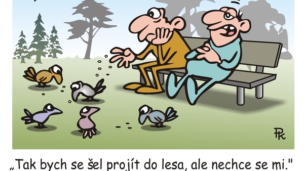 55792-top_foto1-kvaqy